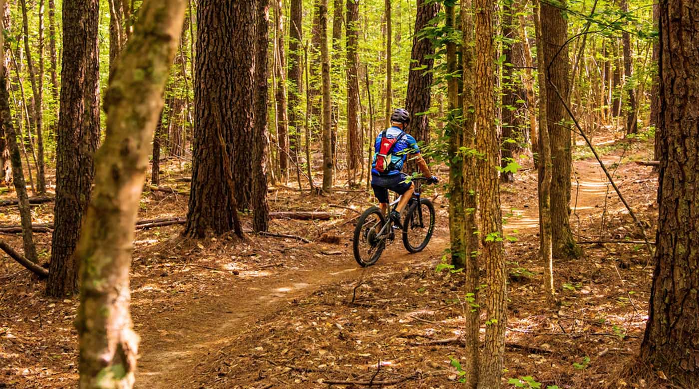 biking through nature preserve