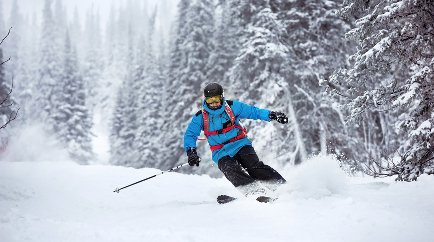 skier moving very fast forest