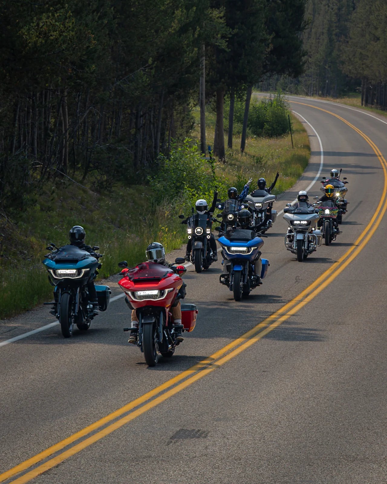 Motorcyclists riding together along a winding road through a forest.